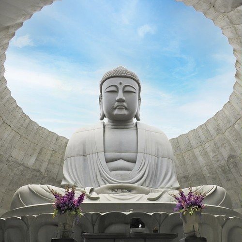 대표 썸네일