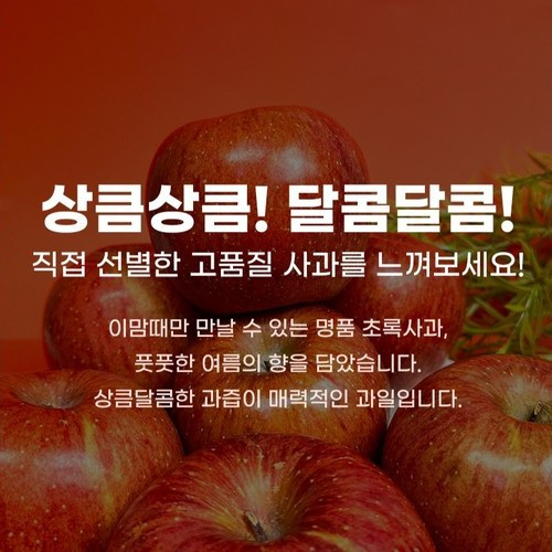 대표 썸네일