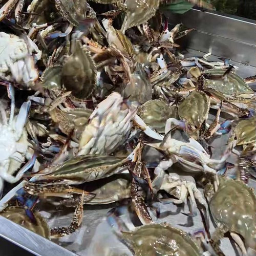 대표 썸네일