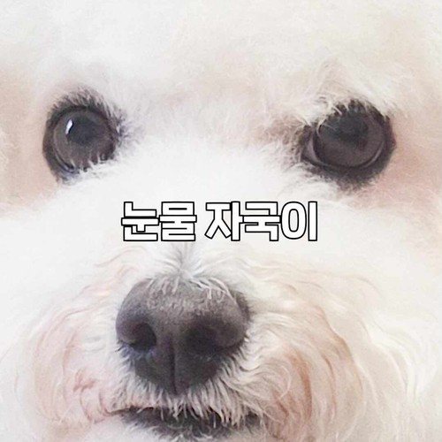 대표 썸네일