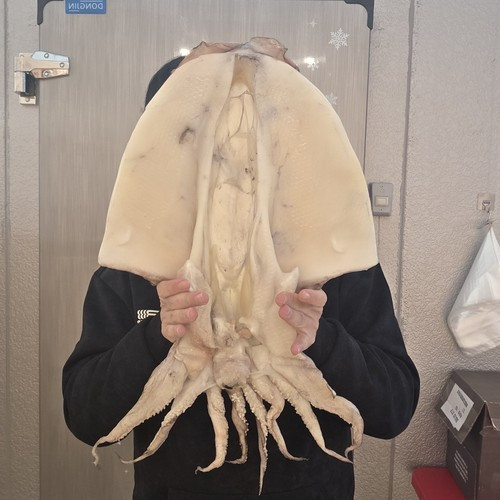 대표 썸네일
