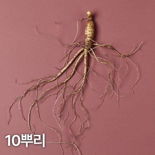 대표 썸네일