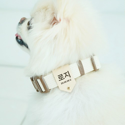 대표 썸네일
