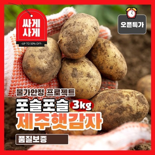 대표 썸네일