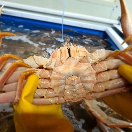 대표 썸네일