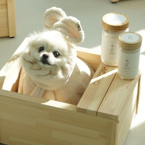 대표 썸네일