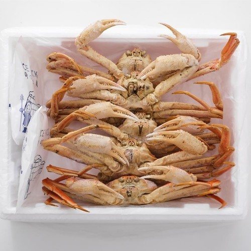 대표 썸네일