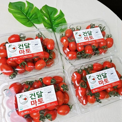 대표 썸네일