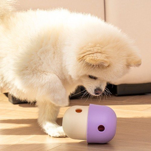 대표 썸네일