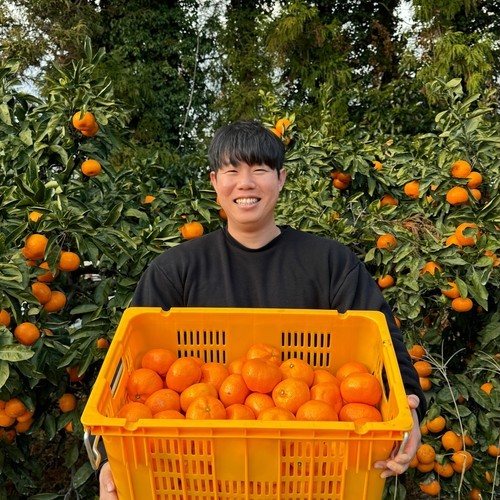 대표 썸네일
