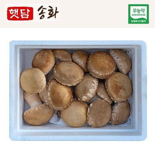 대표 썸네일