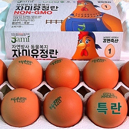대표 썸네일