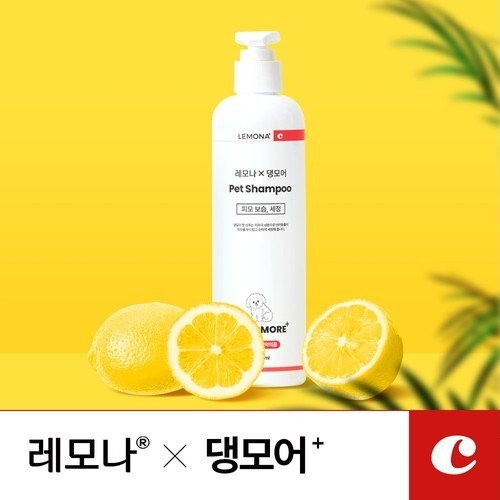 대표 썸네일