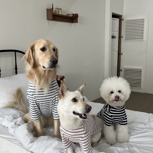 대표 썸네일