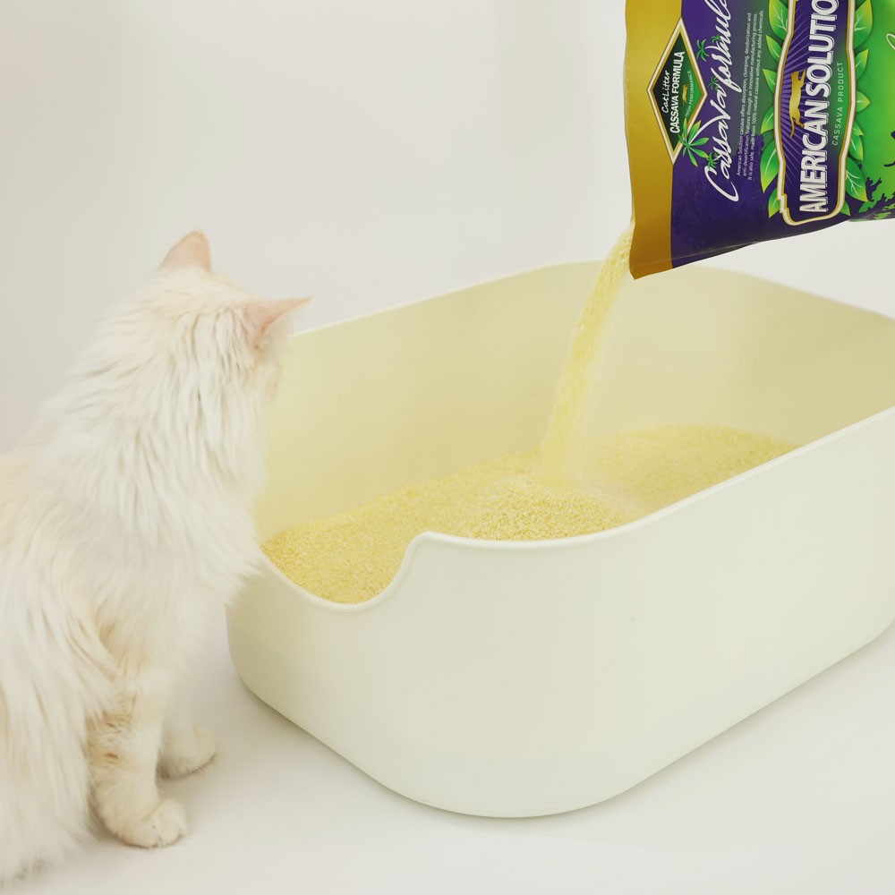 [강아지의날] 아메리칸솔루션 최고급 브라질산 카사바 먼지없는 고양이모래 옵티멈 6kg 후기｜응고력·탈취력·먼지 날림 정리