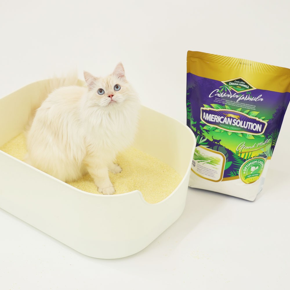 [강아지의날] 아메리칸솔루션 최고급 브라질산 카사바 먼지없는 고양이모래 옵티멈 6kg 후기｜응고력·탈취력·먼지 날림 정리