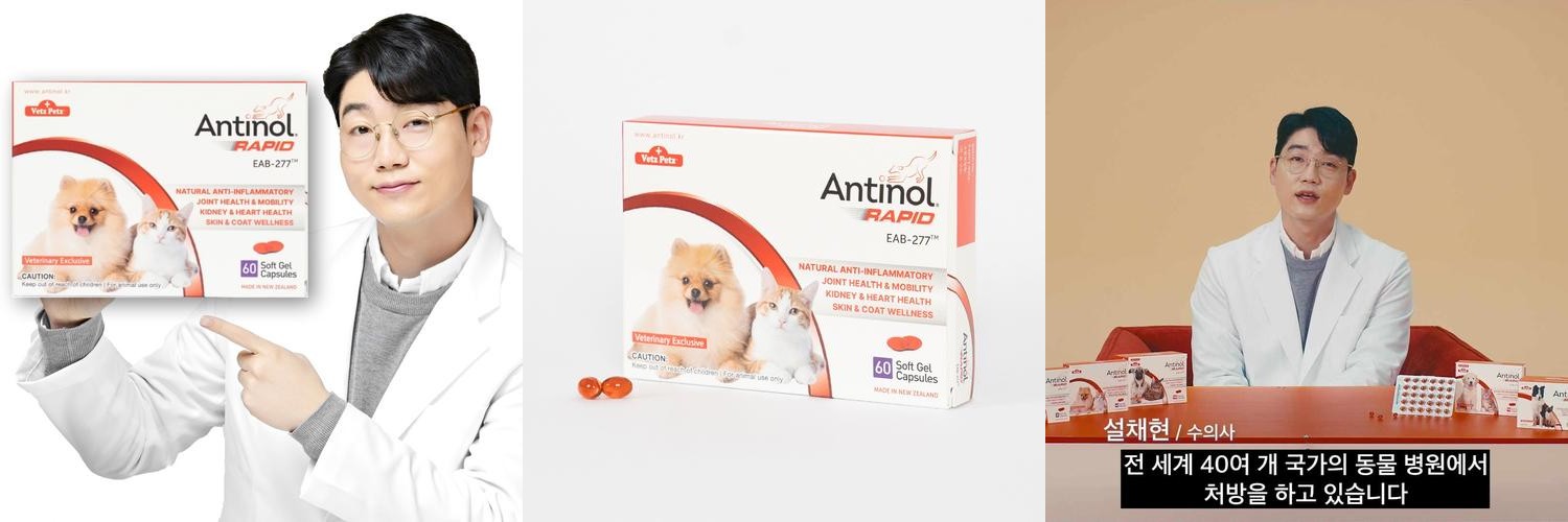 안티놀 래피드 강아지 고양이 관절 슬개골 영양제 관절건강, 60캡슐, 1개