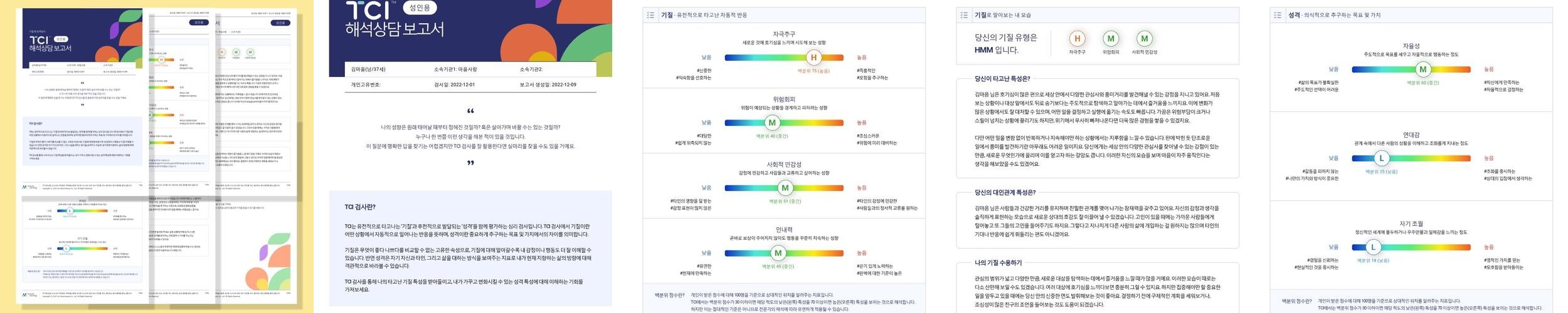 TCI 기질 및 성격검사 (2P 결과지 + 6P 해석보고서 + 참고자료 + 강의)