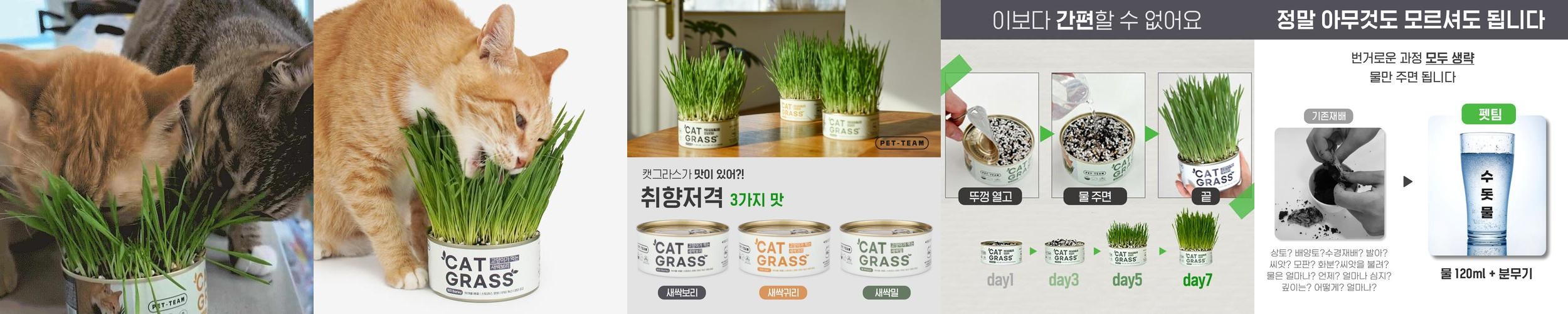파이토리진 유기농 새싹보리 착즙분말 원데이 2100% 3박스 3개월분+보틀