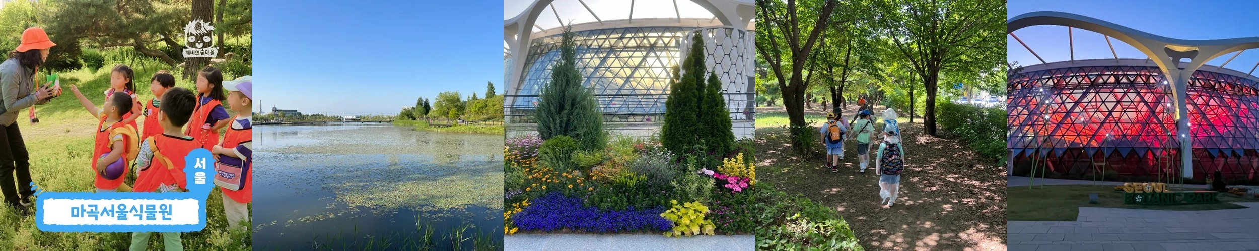 [깨비의숲마을][마곡서울식물원] 서울 강서구 숲체험 어린이 봄 유아 초등 자연 곤충 주말 체험 학습