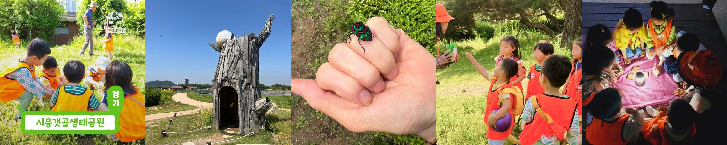 [깨비의숲마을][시흥갯골생태공원] 경기 시흥 숲체험 어린이 봄 유아 초등 자연 곤충 주말 체험 학습