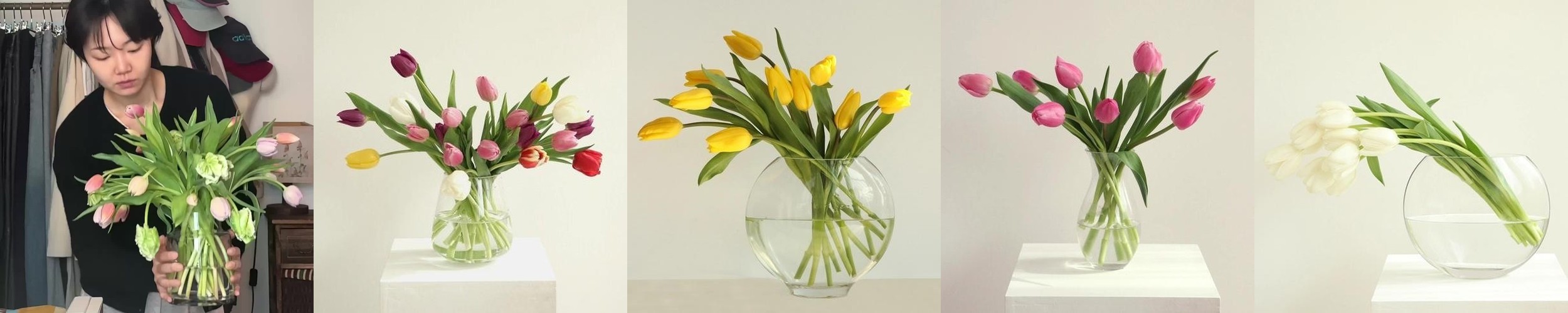 [BEST] 튤립(9colors) – 겨울 탄생화 봄 제철꽃 생화 생일 꽃선물 배달 정기구독 양재꽃시장 화훼농가