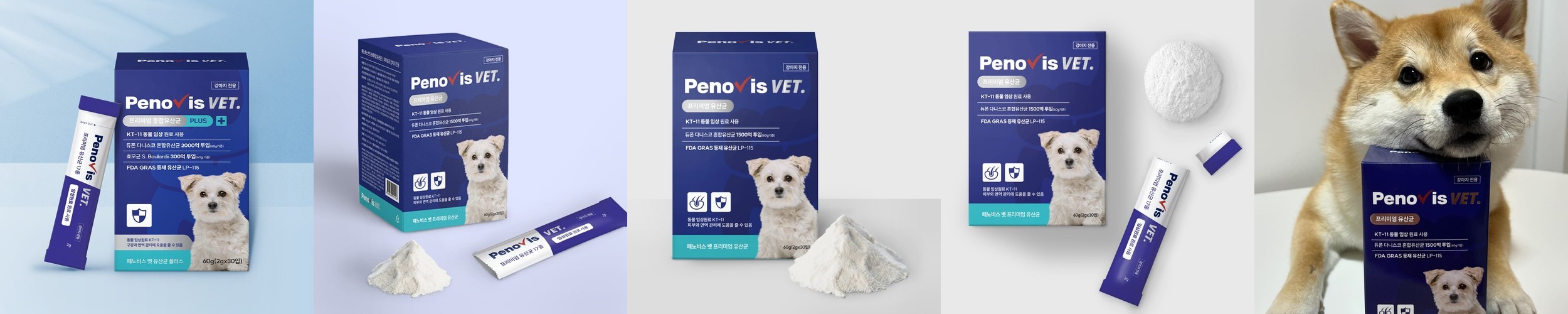 강아지유산균 페노비스 변비 설사 장건강 피부 임상원료 유산균 30포, 1개