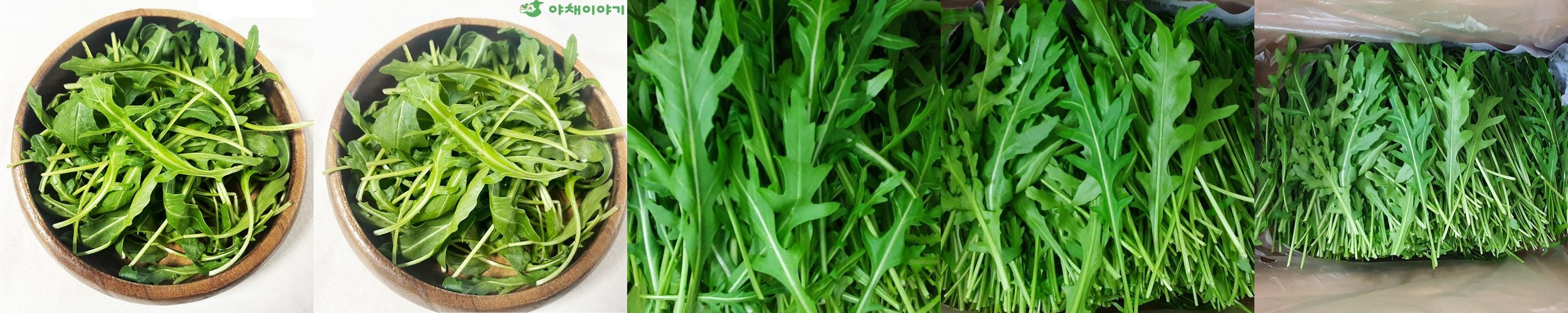 야채이야기 와일드루꼴라 500g 특수야채 베이비 루꼴라