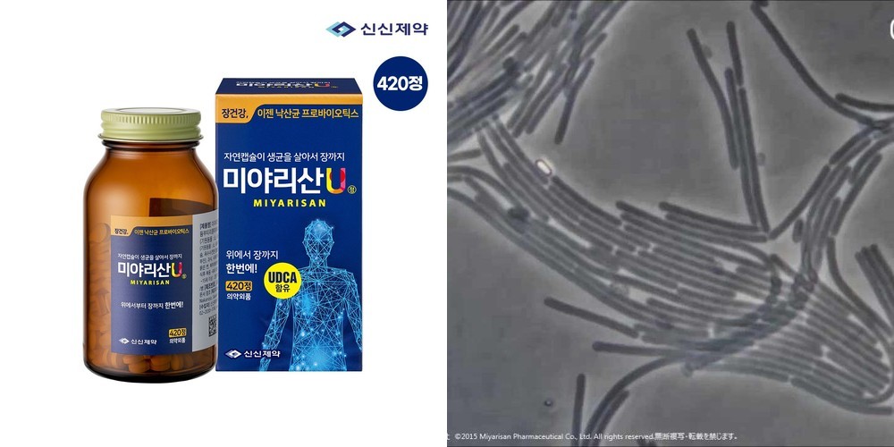 오므론 스마트 체중계 골격근율 HBF-222T