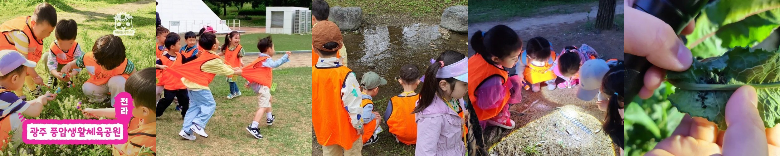 원어민 숲체험 ‘네이처톡’ | 자연에서 원어민과 소통하기 by 에이치랩네이처톡
