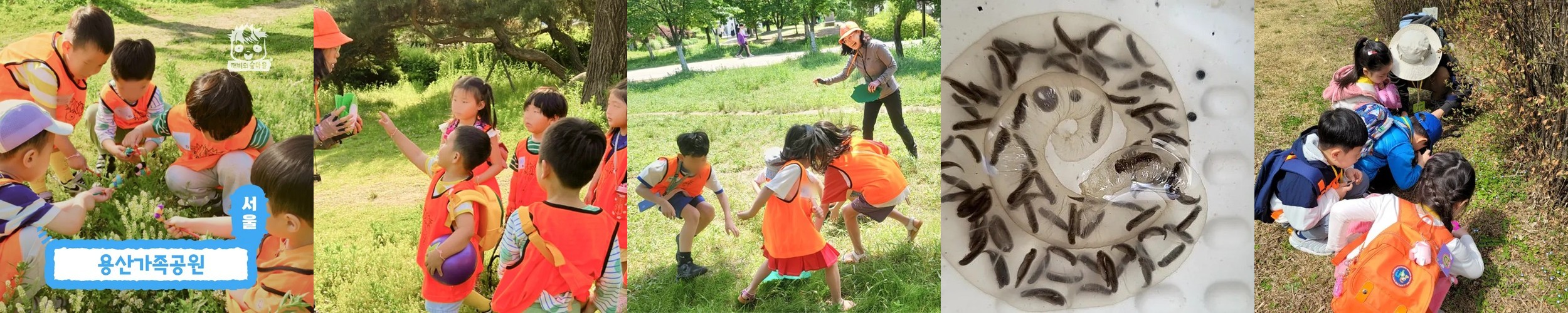 [깨비의숲마을][용산가족공원] 서울 용산구 숲체험 어린이 봄 유아 초등 자연 주말 곤충 체험 학습