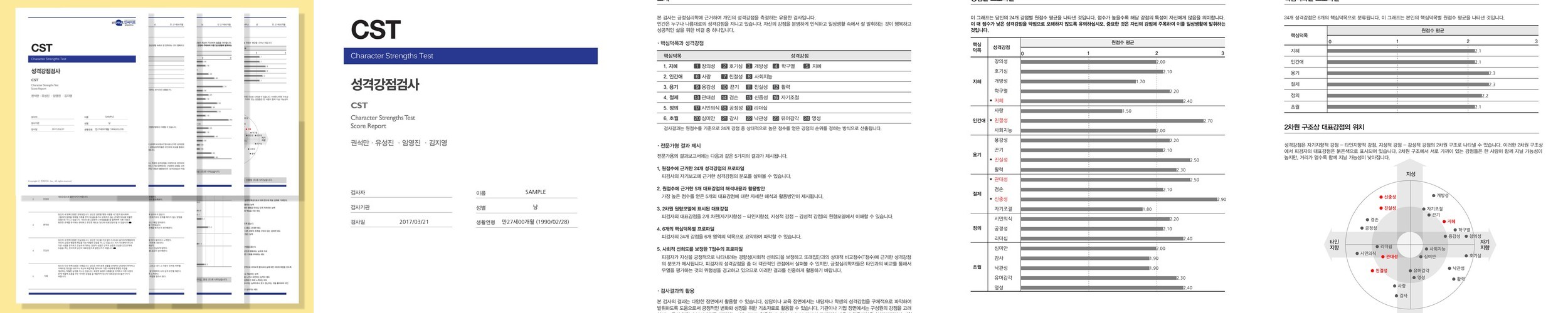 CST 강점 검사 (긍정심리학 24가지 성격 스트렝스 정식검사) 온라인 심리검사