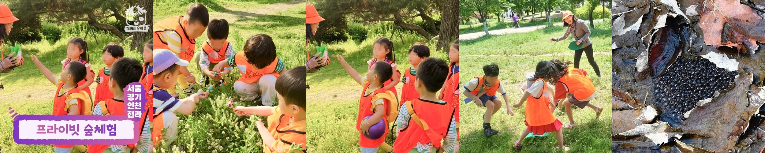 [숲파티포레] 일산호수공원 일산 고양 파주 경기 어린이 유아 초등 봄 숲체험 자연 학습