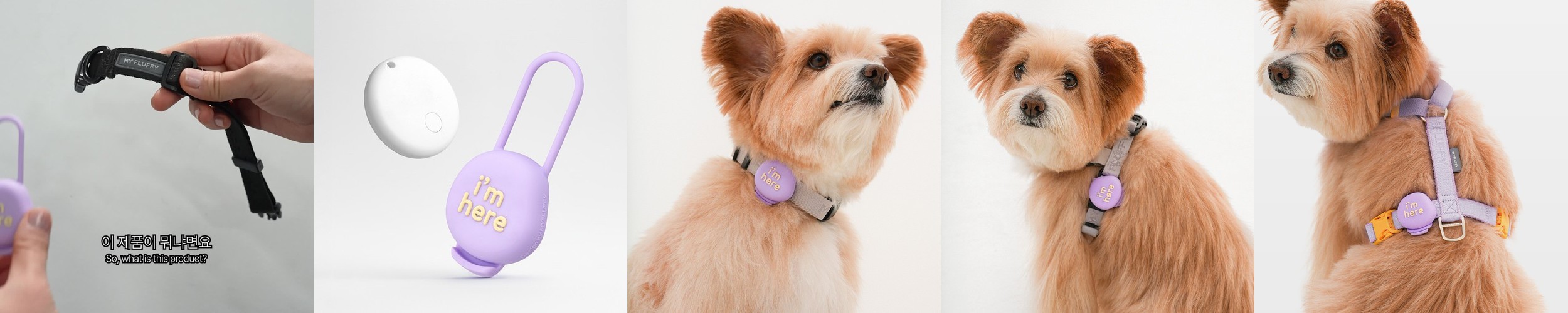 금와 아프리카왕달팽이 키우기 도둑게 애완 달팽이 집 사육장 소라게 키우기 스마일게 대형