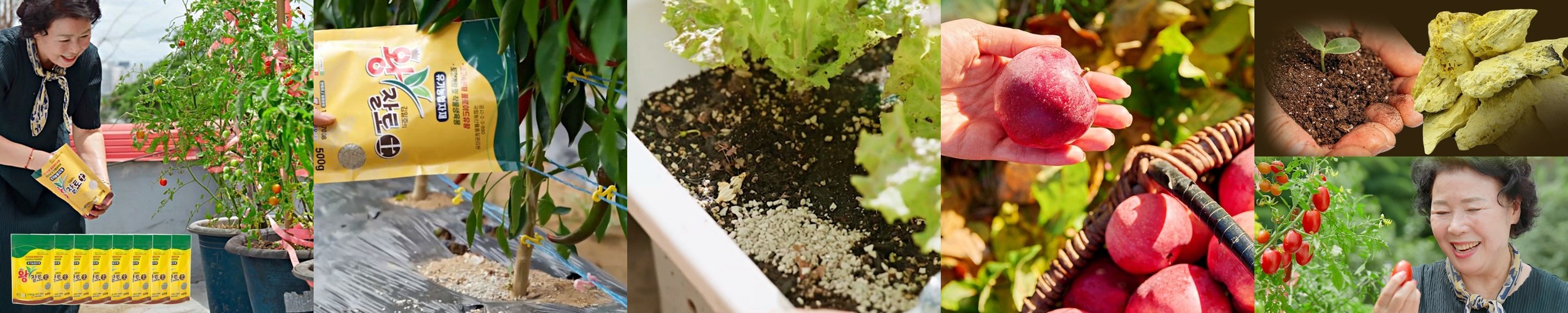 김일호 왕잘커 7종 세트 친환경 영양제 고농축 식물 보약제 식물영양제 액체비료