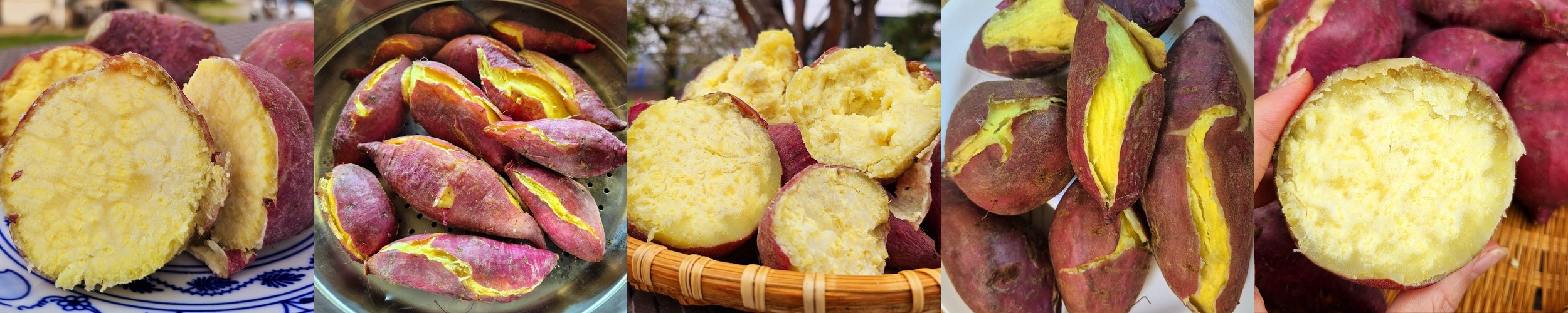 25년 황토 햇밤고구마 3kg 익산 햇고구마