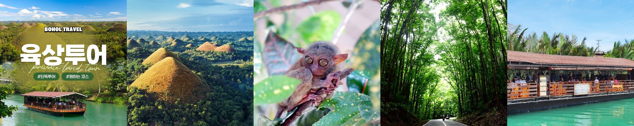 보홀 육상투어 단독차량 초콜릿힐 안경원숭이 로복강 체크아웃 데이투어 차량 렌트