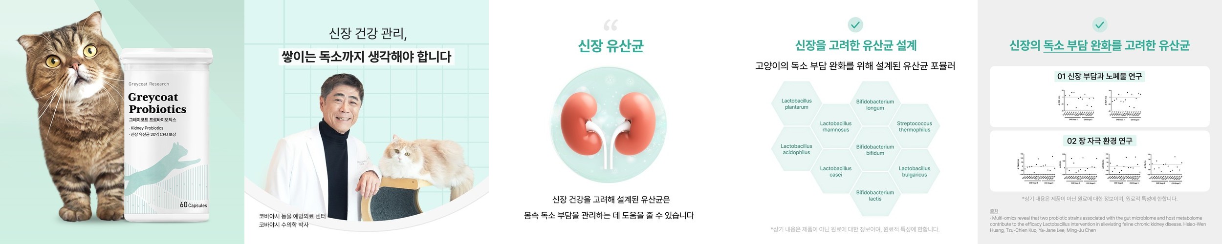 [고양이의 날] 야옹섬 고양이영양제 신장유산균 프로바이오틱스 신부전관리 60캡슐, 1개