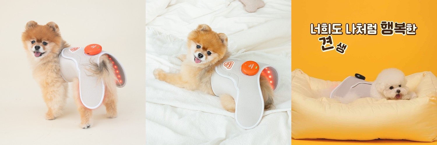 금와 아프리카왕달팽이 키우기 도둑게 애완 달팽이 집 사육장 소라게 키우기 스마일게 대형