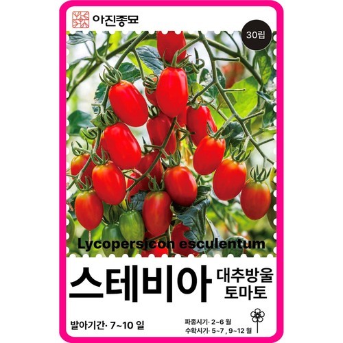 스테비아 토마토 방울토마토 500g+500g (총 2팩)