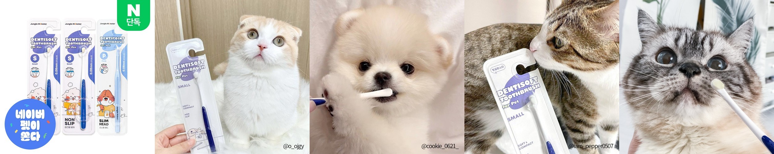 정글몬스터 덴티소프트 S 2개입+ P 1개입 초소형 부드러운 칫솔 강아지 고양이 소형견 치석 입냄새
