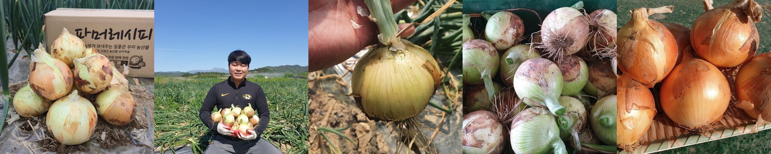 밸롭 칼로링 지압슬리퍼 리뷰｜발 아치 지지 효과·사무실 실내화 추천 이유·장시간 착용 후기 정리