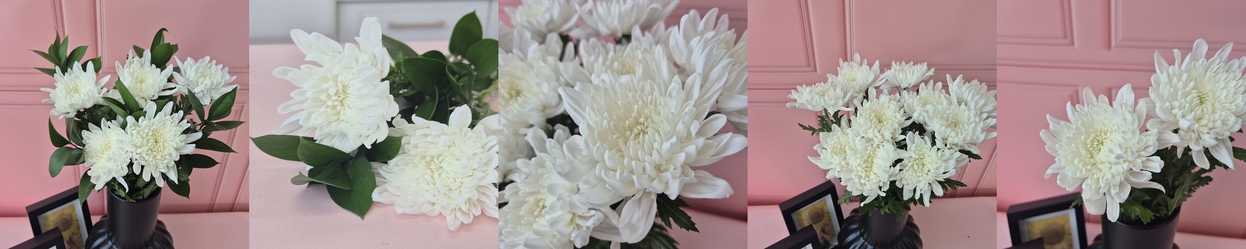 온다숲 국화꽃 살충제 집먼지진드기 이불진드기 베드버그 초파리 없애는법 퇴치법 퇴치제 제거 피레트린300ml