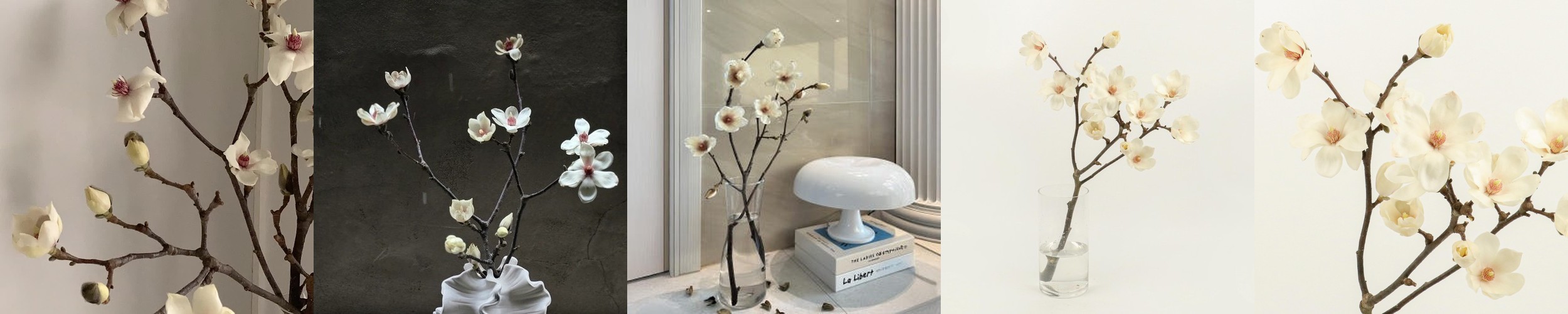 [NEW] 목련(매그놀리아) – 제철 꽃나무 절지 생화택배 꽃배송 다발 생일선물 꽃정기구독