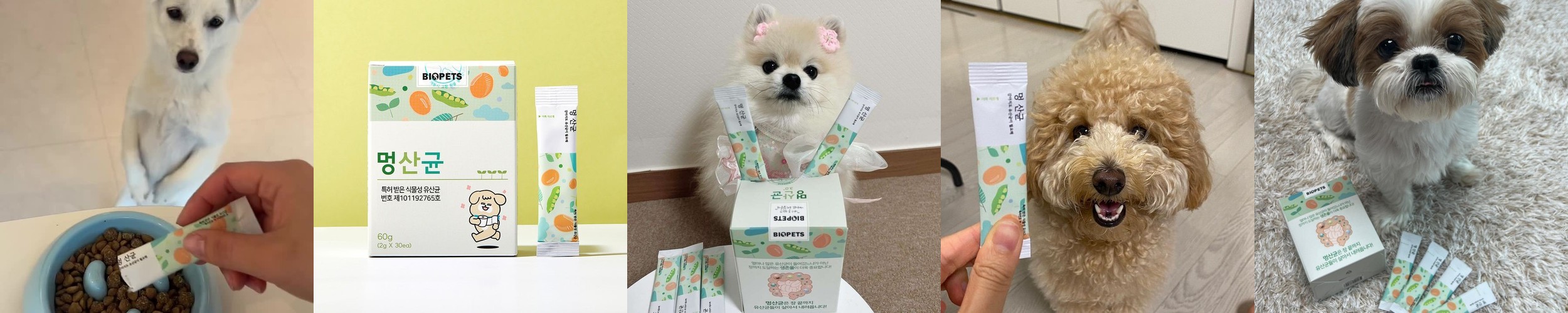 강아지 유산균 장건강 면역력 변비 설사 노견 영양제 멍산균 30포, 1개