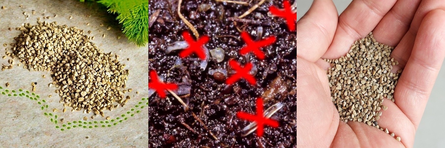 김일호 왕잘커 7종 세트 친환경 영양제 고농축 식물 보약제 식물영양제 액체비료