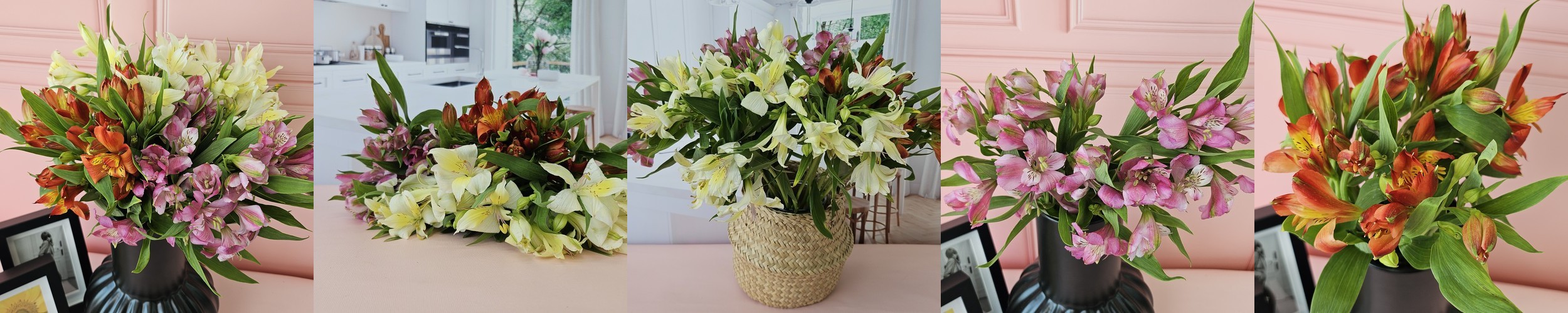 [선물하기 NO.1] 알스트로메리아(7colors) 생일 꽃다발 생화배송 꽃정기구독 제철꽃 졸업식선물