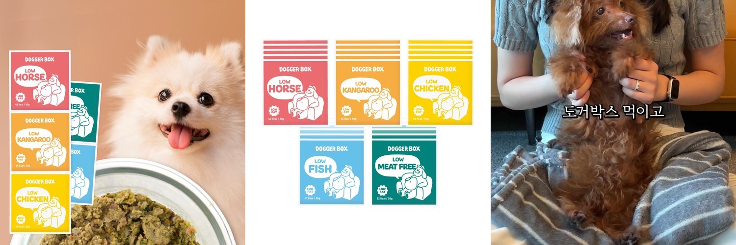 본아페티 웰밸런스드 강아지 화식 눈물자국 참치 자연식 사료 눈+눈물, 80g, 10개