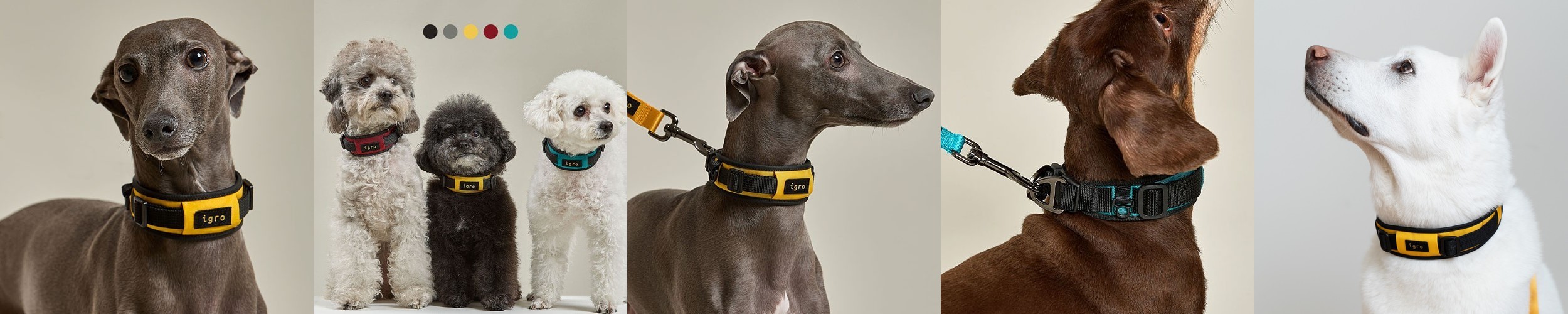 라비앙독 암컷 강아지 기저귀 애견 매너벨트 생리대 배변 훈련 패드 XS(초소형), 50매입, 1개