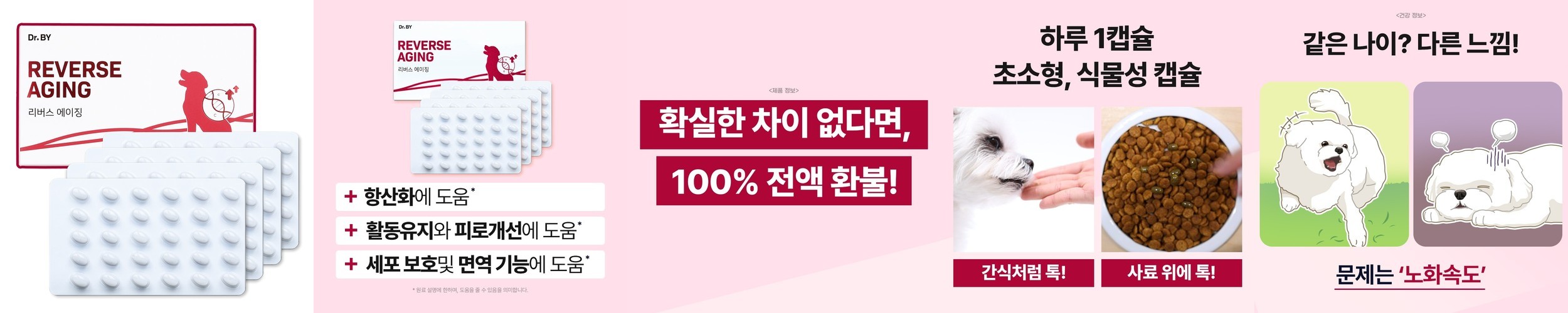 오가닉스토리 가수분해 강아지 피부 알러지 눈물 사료 연어, 2.4kg, 1개